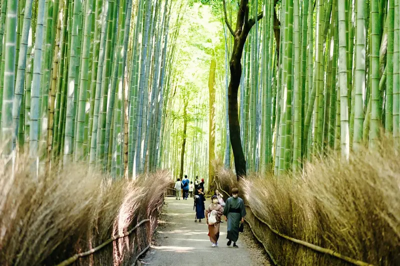 Kyoto Temples & Bamboo Grove