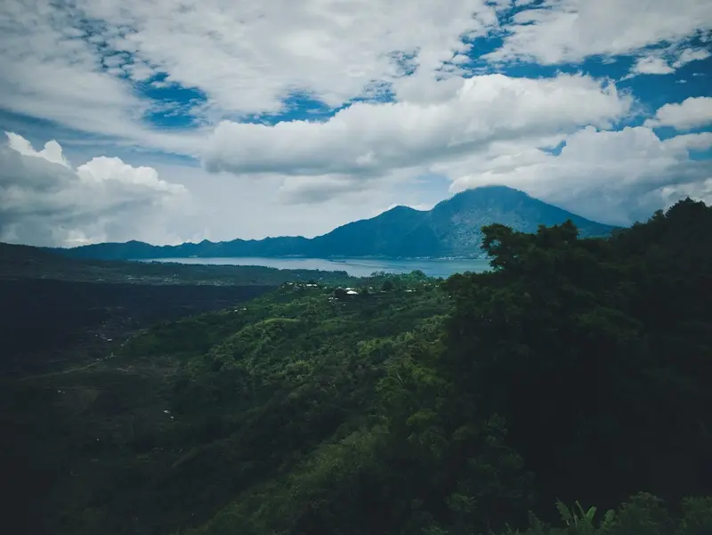 Day 02 – Kintamani & Ubud Highlights