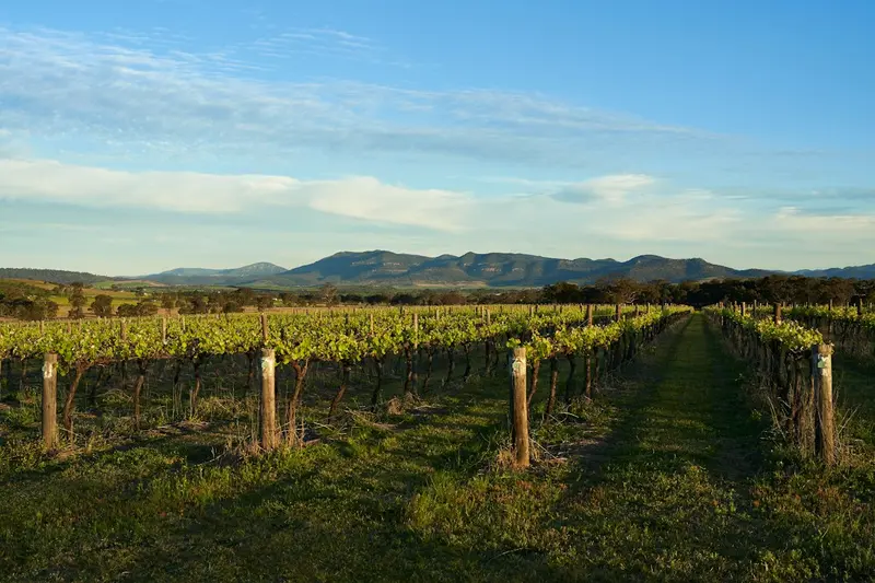 Day 04 – Yarra Valley Wine Tour
