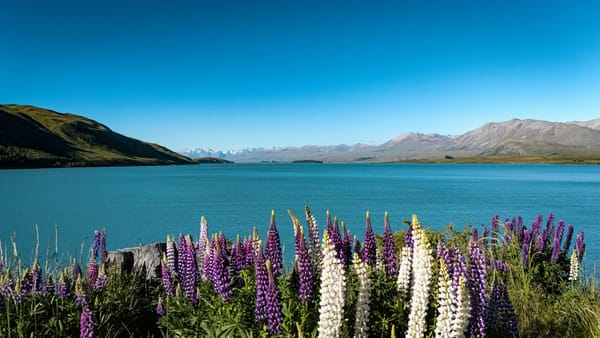 New Zealand Beyond Summer